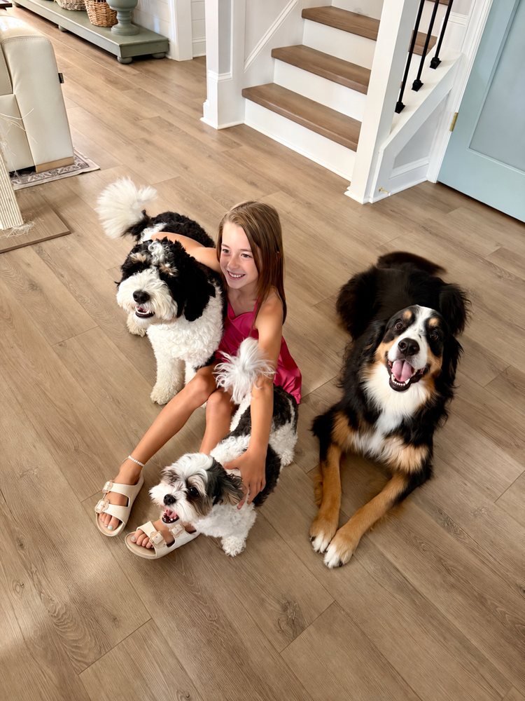 Mila at home with the dogs